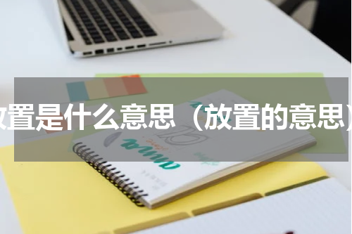 放置是什么意思（放置的意思）