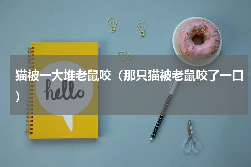 猫被一大堆老鼠咬（那只猫被老鼠咬了一口）