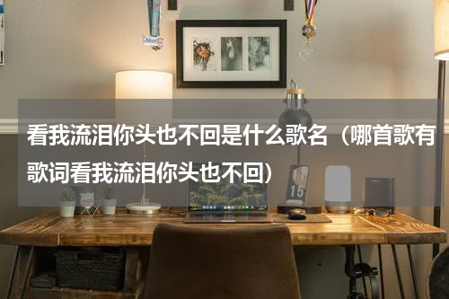 看我流泪你头也不回是什么歌名（哪首歌有歌词看我流泪你头也不回）