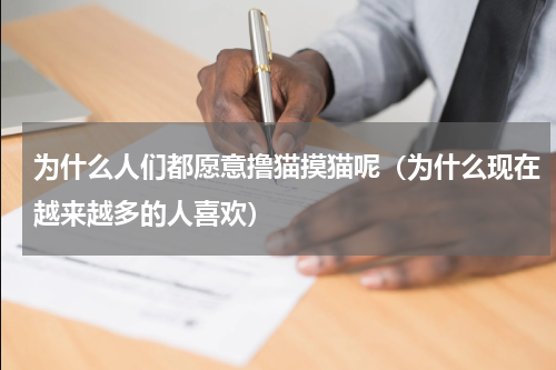 为什么人们都愿意撸猫摸猫呢（为什么现在越来越多的人喜欢）