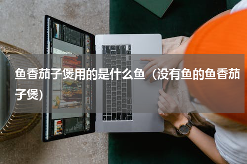 鱼香茄子煲用的是什么鱼（没有鱼的鱼香茄子煲）