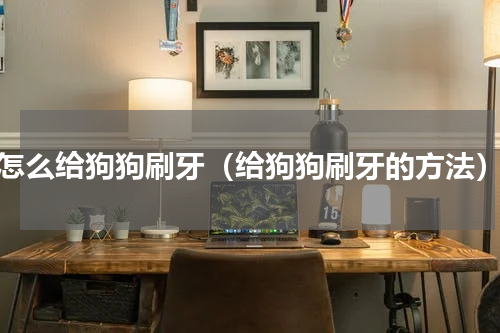 怎么给狗狗刷牙（给狗狗刷牙的方法）
