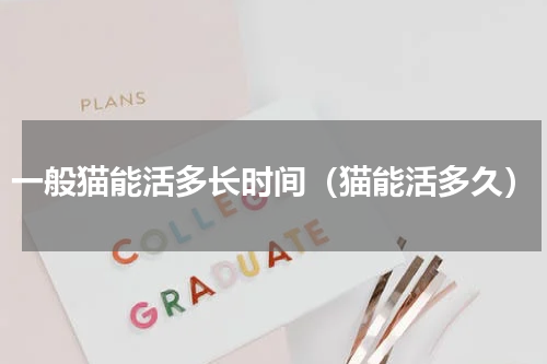 一般猫能活多长时间（猫能活多久）
