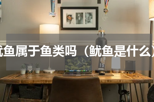 鱿鱼属于鱼类吗（鱿鱼是什么）