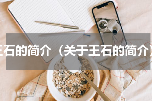 王石的简介（关于王石的简介）