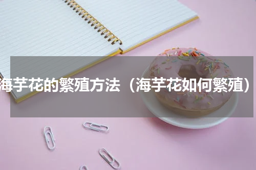 海芋花的繁殖方法（海芋花如何繁殖）