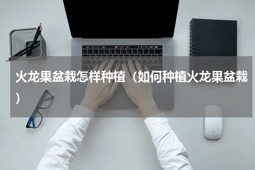 火龙果盆栽怎样种植（如何种植火龙果盆栽）