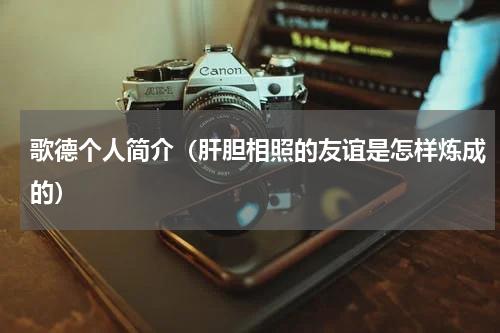 歌德个人简介（肝胆相照的友谊是怎样炼成的）