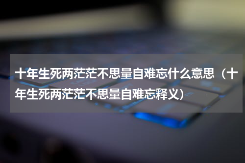 十年生死两茫茫不思量自难忘什么意思（十年生死两茫茫不思量自难忘释义）