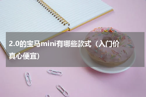 2.0的宝马mini有哪些款式（入门价真心便宜）