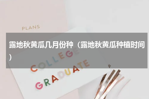 露地秋黄瓜几月份种（露地秋黄瓜种植时间）