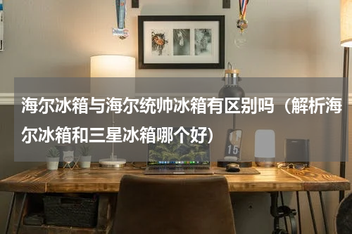 海尔冰箱与海尔统帅冰箱有区别吗（解析海尔冰箱和三星冰箱哪个好）
