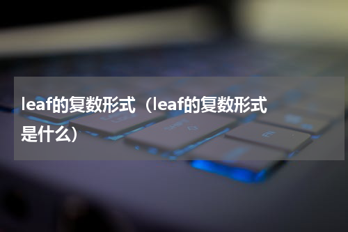 leaf的复数形式（leaf的复数形式是什么）