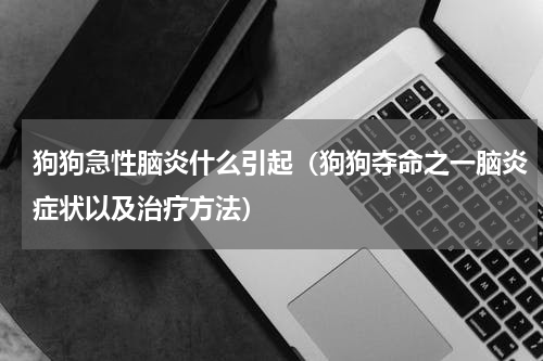 狗狗急性脑炎什么引起（狗狗夺命之一脑炎症状以及治疗方法）