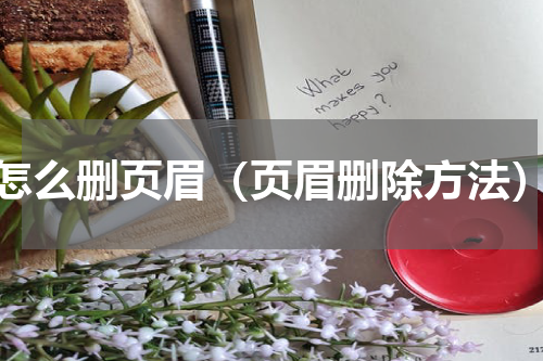 怎么删页眉（页眉删除方法）