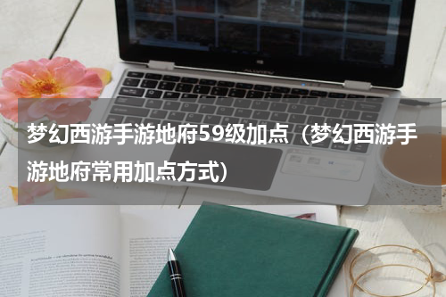 梦幻西游手游地府59级加点（梦幻西游手游地府常用加点方式）