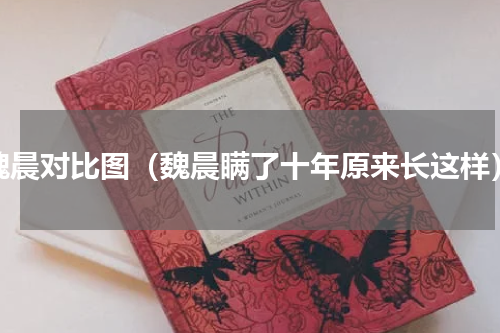 魏晨对比图（魏晨瞒了十年原来长这样）