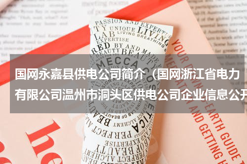 国网永嘉县供电公司简介（国网浙江省电力有限公司温州市洞头区供电公司企业信息公开指南）