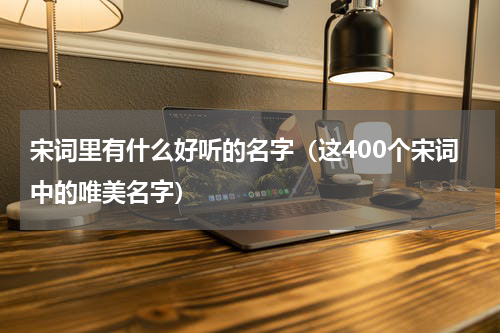 宋词里有什么好听的名字（这400个宋词中的唯美名字）