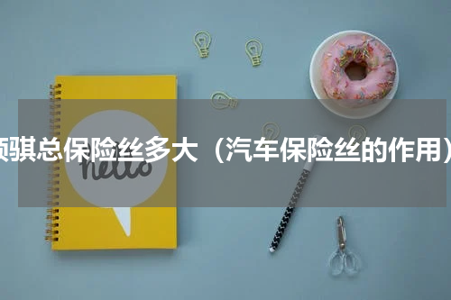 领骐总保险丝多大（汽车保险丝的作用）