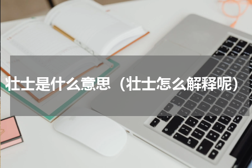壮士是什么意思（壮士怎么解释呢）