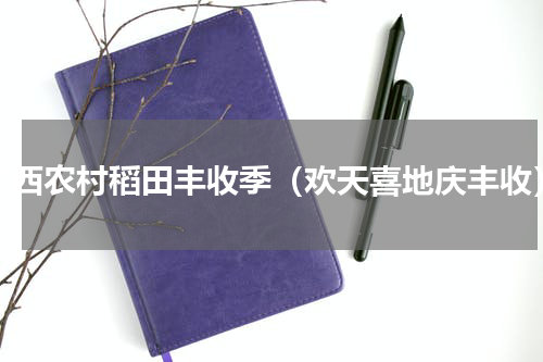 广西农村稻田丰收季（欢天喜地庆丰收）
