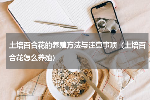 土培百合花的养殖方法与注意事项（土培百合花怎么养殖）