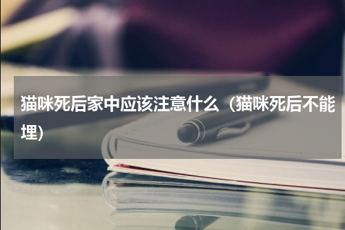 猫咪死后家中应该注意什么（猫咪死后不能埋）