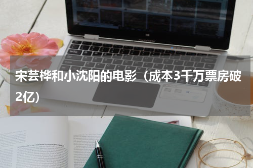 宋芸桦和小沈阳的电影（成本3千万票房破2亿）