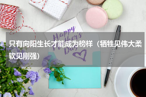 只有向阳生长才能成为榜样（牺牲见伟大柔软见刚强）