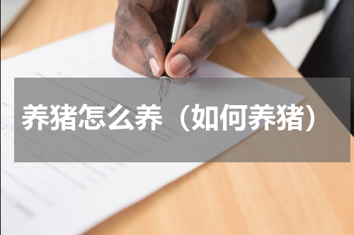 养猪怎么养（如何养猪）