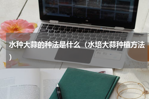 水种大蒜的种法是什么（水培大蒜种植方法）