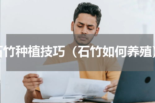 石竹种植技巧（石竹如何养殖）