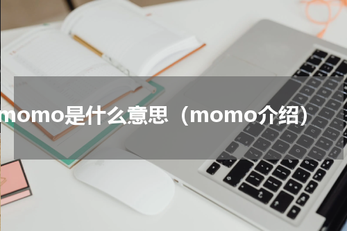 momo是什么意思（momo介绍）