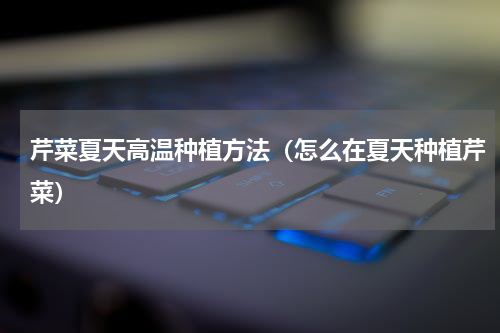 芹菜夏天高温种植方法（怎么在夏天种植芹菜）