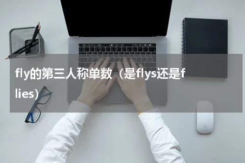 fly的第三人称单数（是flys还是flies）