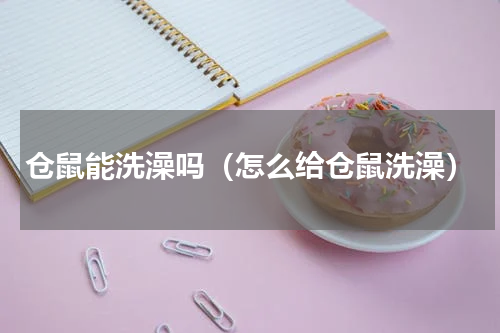 仓鼠能洗澡吗（怎么给仓鼠洗澡）