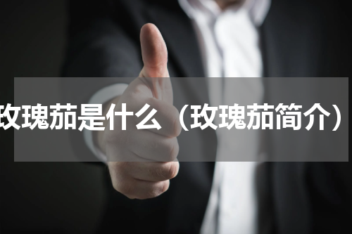 玫瑰茄是什么（玫瑰茄简介）