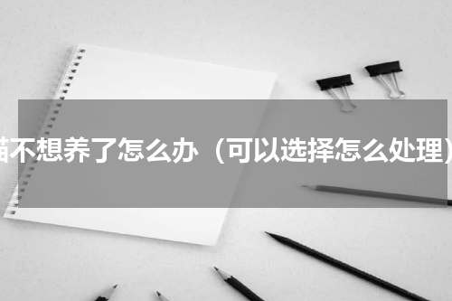 猫不想养了怎么办（可以选择怎么处理）