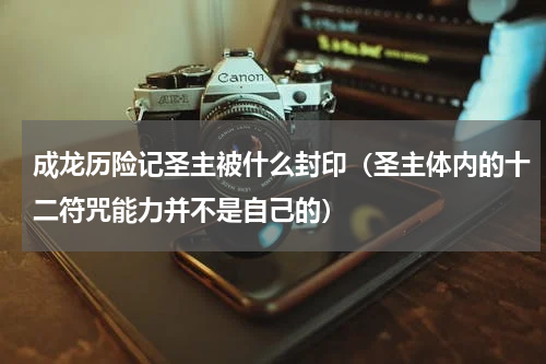 成龙历险记圣主被什么封印（圣主体内的十二符咒能力并不是自己的）