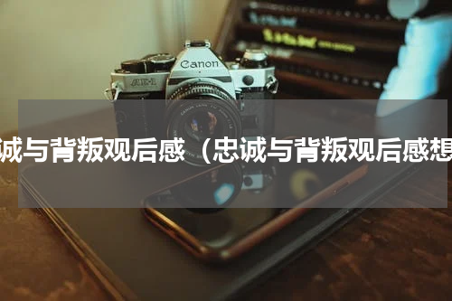 忠诚与背叛观后感（忠诚与背叛观后感想）