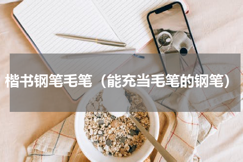 楷书钢笔毛笔（能充当毛笔的钢笔）