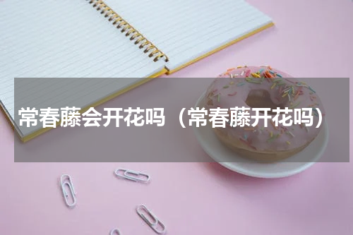 常春藤会开花吗（常春藤开花吗）