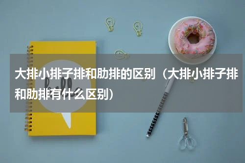 大排小排子排和肋排的区别（大排小排子排和肋排有什么区别）