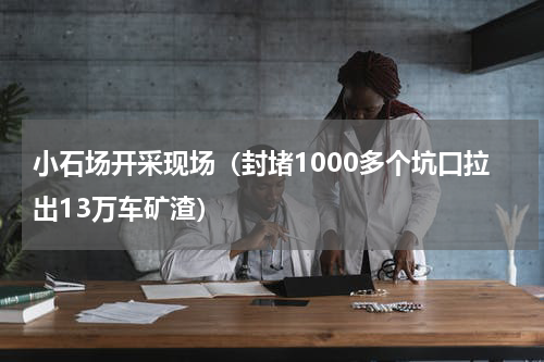 小石场开采现场（封堵1000多个坑口拉出13万车矿渣）