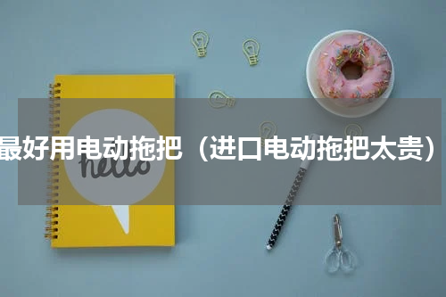 最好用电动拖把（进口电动拖把太贵）