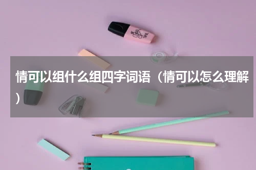 情可以组什么组四字词语（情可以怎么理解）