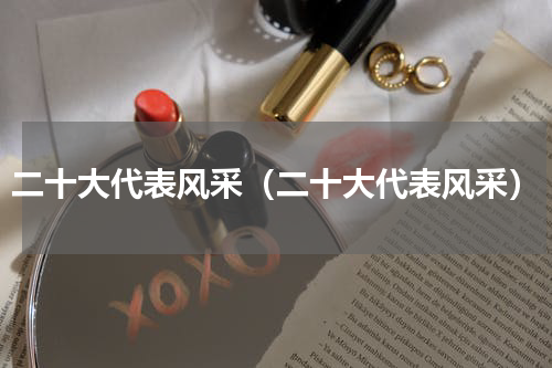 二十大代表风采（二十大代表风采）