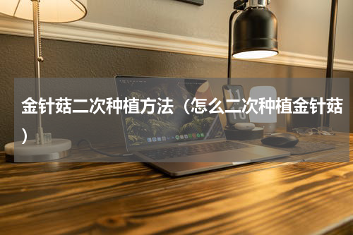 金针菇二次种植方法（怎么二次种植金针菇）