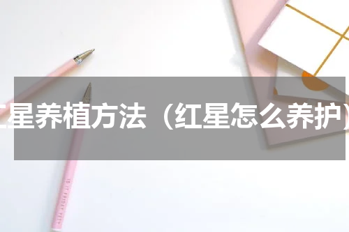 红星养植方法（红星怎么养护）